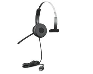 Headset 100 - Mono - USB - Black